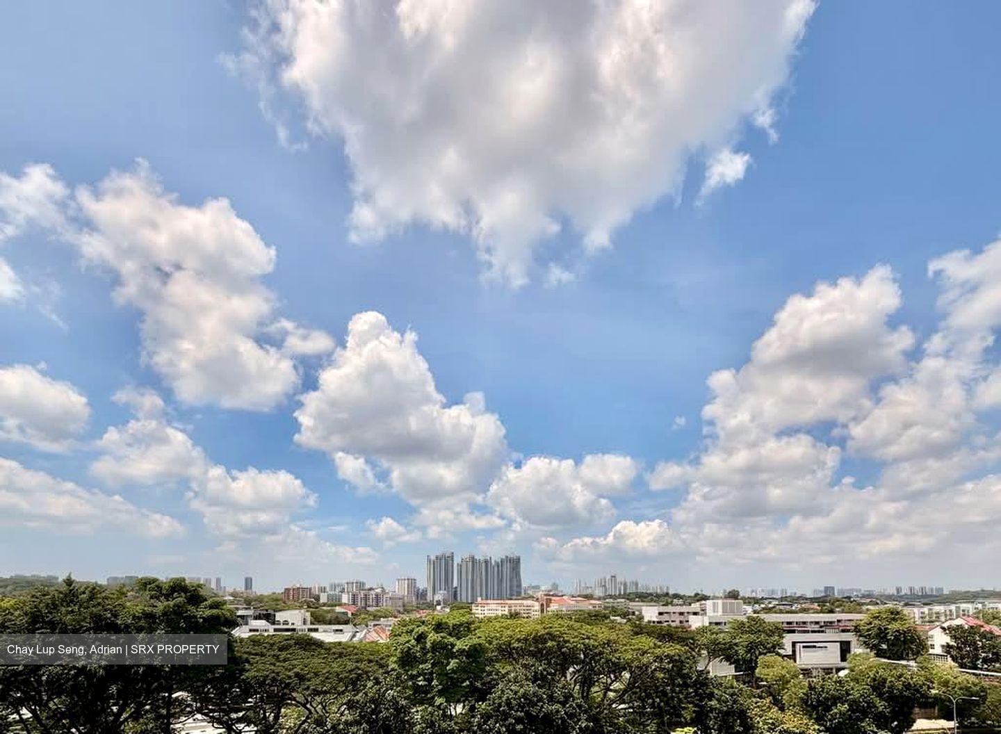 Dunearn 386 (D11), Apartment #602300341